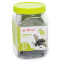 Набір фігурок комах Miniland Insects (12 шт.)