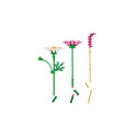 Конструктор LEGO Botanicals Квіти космеї