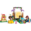 Конструктор LEGO Friends Вечір кіно з друзями