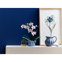 Конструктор LEGO Icons Botanicals Орхідея