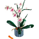 Конструктор LEGO Icons Botanicals Орхідея