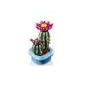 Конструктор LEGO Botanicals  Цвітіння кактуса