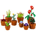 Конструктор LEGO Icons Botanicals Маленькі квіти