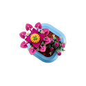 Конструктор LEGO Botanicals  Цвітіння кактуса