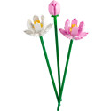 Конструктор LEGO Iconic Botanicals Квіти лотоса