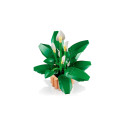 Конструктор LEGO Botanicals Спатифілум